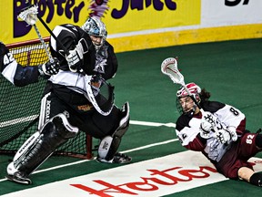 Aaron Bold stops a shot during a February game against the Colorado Mammoth. (Codie McLachlan, Edmonton Sun)