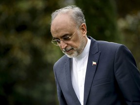 The Head of the Iranian Atomic Energy Organization Ali Akbar Salehi walks through a garden at the Beau Rivage Palace Hotel during an extended round of talks in Lausanne, April 2, 2015. Officials are meeting in Switzerland for negotiations on Iran's nuclear program. Major powers and Iran negotiated into the early hours of Thursday on Tehran's nuclear programme two days past their deadline, with diplomats saying prospects for a preliminary agreement were finely balanced between success and collapse. REUTERS/Brendan Smialowski/Pool