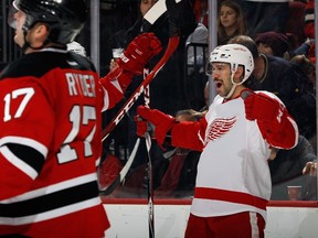 Drew Miller of the Detroit Red Wings celebrates a goal during a game against the New Jersey Devils at the Prudential Center November 28, 2014 in Newark, N.J. (Bruce Bennett/Getty Images/AFP)