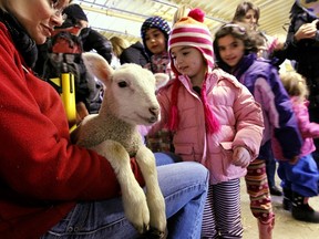 Children gather to pet a one month old lamb during "Easter on the Farm" at the Canada Agriculture Museum on Friday March 29,2013. (Errol McGihon/The Ottawa Sun/QMI Agency)
