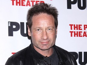 David Duchovny. (WENN.COM )