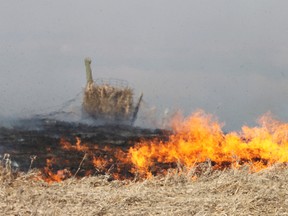 Grass fire near Blackie/Herronton