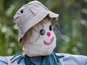 File photo of a scarecrow (Fotolia)