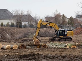 Felled trees and heavy machinery dot a development owned by Southside Group along Boler Rd., adjacent to Optimist Park Dr. in London. Nearby residents are upset, even though no rules have been broken. (CRAIG GLOVER, The London Free Press)