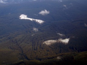 Snow lies atop mountains in the alpine area of the state of Victoria on Christmas Day, in this December 25, 2006 file photo. REUTERS/David Gray/Files