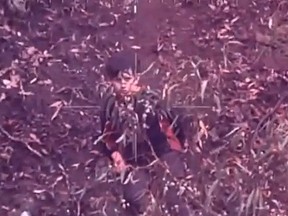 Luke Shambrook, 11, survived four days in the bush after he wandered away from a family camping trip in southeastern Australia. (ABC News Australia/YouTube screengrab)