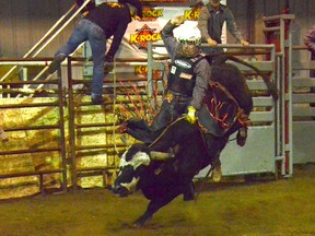 Bull riding will be featured at the Arnprior rodeo in June. (QMI Files)