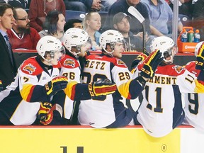 The Erie Otters celebrate a goal against the Niagara IceDogs last month in St. Catharines, Ont. (Bob Tymczyszyn/QMI Agency)