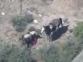 Screen grab from YouTube video showing several Calif. deputies savagely beating a man who had fled on horseback. (YouTube)