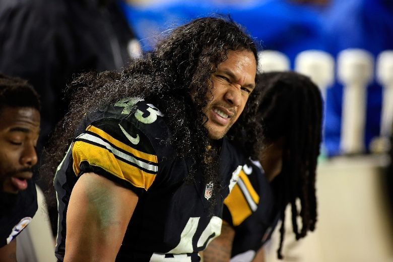 Troy Polamalu retires from NFL after 12 seasons at Pittsburgh Steelers, NFL