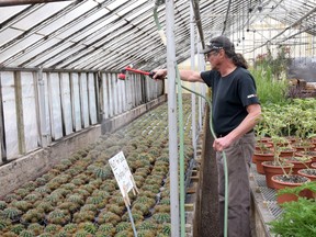 Ernie Dawson waters some of the 5,000 cacti at Tillsonburg Garden Gate. (CHRIS ABBOTT/TILLSONBURG NEWS)