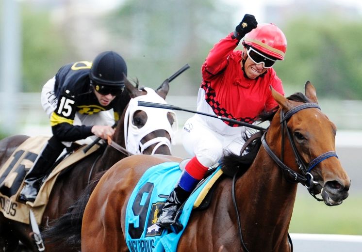 Woodbine set for opening day on thoroughbred side Toronto Sun