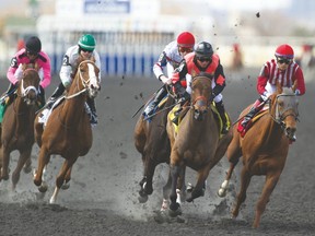 Jockey Alan Garcia (far right) guides Leading Wild to a victory during the second race on Saturday. (MICHAEL BURNS PHOTO)