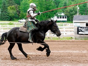 Knights of Valour offers an authentic full-metal jousting tournament show. The jousting troupe will return to the REACH Centre on Friday, April 17.