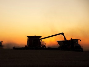 Farmers harvest their wheat crop during sunset on the Canadian prairies near Vulcan, Alberta, in this file photo taken September 7, 2011.  A state-owned Saudi Arabian company is joining U.S. grain trader Bunge Ltd to buy a majority stake in Canadian grain handler CWB for C$250 million ($201 million).  REUTERS/Todd Korol/Files