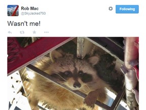 The popular tweet from Robert MacFarlane, who uses the Twitter handle @skyjacked793.