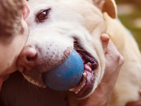 Dogs are called "man's best friend" - women's, too - and scientists say the bond between people and their pooches may be deeper than you might think.