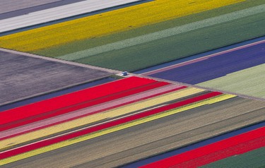 An aerial view of flower fields is seen near the Keukenhof park, also known as the Garden of Europe, in Lisse, The Netherlands April 15, 2015. Keukenhof, employing some 30 gardeners, is considered to be the world's largest flower garden displaying millions of flowers every year. (REUTERS/Yves Herman)