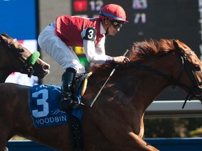 Jockey Alan Garcia rides Unspurned (3) to victory in the Whimsical Stakes on Saturday at Woodbine, then shows off his trophy in the winner’s circle. (MICHAEL BURNS/PHOTO)