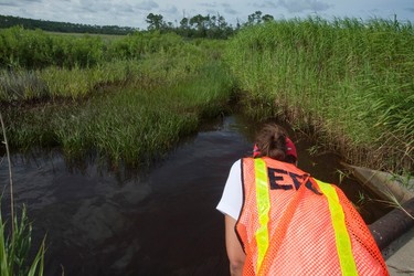 A U.S. Environmental Protection Agency (EPA) worker looks at oil from the Deepwater Horizon spill which seeped into a marsh in Waveland, Mississippi in this file photo from July 7, 2010.   REUTERS/Lee Celano/Files