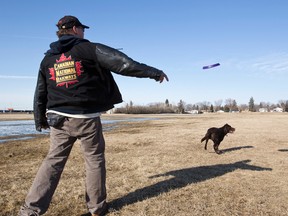 Jim Robinson plays with his dog Hemy, a chocolate lab, in the Lauderdale off-leash park in Grand Trunk Park in Edmonton, Alta., on Monday, April 7, 2014.  (Ian Kucerak/Edmonton Sun file photo)