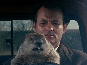 groundhog day