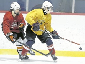 Tim Meeks/The Intelligencer
Trenton Golden Hawks auditioned 70 players at their annual Prospects Camp last weekend at the RCAF Flyers Arena at CFB Trenton. Close to 15 of the prospects have been invited to the Hawks' main training camp set for mid-August at Trenton Community Gardens.