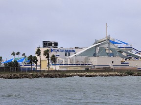 The Texas State Aquarium
(Photo by Larry D. Moore/Wikimedia Commons)