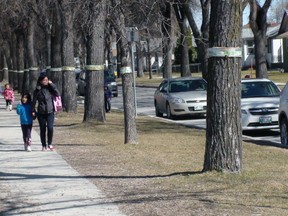 Dominion Street beside Sargent Park School is a reduced speed zone but there are no signs along the strip warning motorists that it's a school zone. (TOM BRODBECK/WINNIPEG SUN/POSTMEDIA NETWORK)