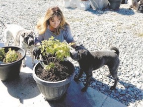 Chilly nights might be keeping you out of the garden, but you can take your green thumb out of hibernation by digging into your planters.