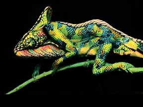 Italian artist Johannes Stotter's Chameleon is actually two naked women covered in body paint. (YouTube screengrab)