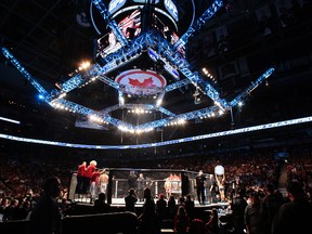Lightweights Pat Healy (red) fights Khabib Nurmagomedov (blue) in the main card of UFC 165 at the Air Canada Centre in Toronto September 21, 2013. (Postmedia Network file photo)