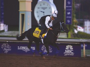 Shared Belief pulled up in last week’s Charles Town Classic and was later diagnosed with a season-ending hip fracture. (USA TODAY SPORTS)