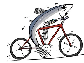 A smelt cyclist (Tim Peckham illustration)