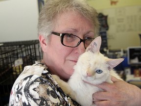 Lynne Scott, executive director of Craig Street Cats is seen in her facility in Winnipeg, Man. Sunday April 26, 2015.