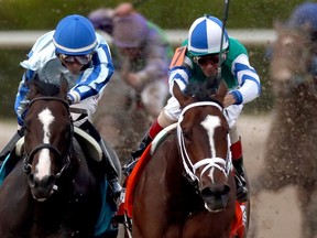 Look for Upstart (left) and Materiality to battle it out down the stretch at the Derby on Saturday. (AFP)