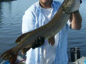 Top 50 Pike Tournament Trail Series executive member shows a 36-inch pike he caught on the West Arm of Lake Nipissing.