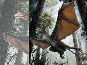 An artist's depiction of the Yi qi dinosaur is seen in this undated handout illustration provided by Dinostar Co. Ltd on April 29, 2015. Scientists in China on April 29, 2015 described one of the weirdest flying creatures ever discovered, a pigeon-sized dinosaur with wings like a bat that lived not long before the first birds. The dinosaur, named Yi qi (meaning "strange wing" in Mandarin), lived about 160 million years during the Jurassic Period, about 10 million years before the earliest-known bird, Archaeopteryx.  

REUTERS/Dinostar Co. Ltd/Handout via Reuters