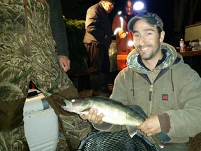 United Walleye Clubs member Eric Daoust shows a nice male walleye the organization captured while electro fishing Tuesday night at Ella Lake. The milt was taken from the male to mix with fresh walleye eaggs and the fish released afterward.
