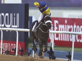 Christophe Soumillon, riding Mubtaahij, celebrates as he races to the finish line to win the UAE Derby in March. (REUTERS)