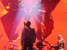U2 in concert in England (WENN.COM)