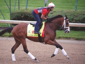 Exercise rider William Cano works out Danzig Moon at Churchill Downs. (USA TODAY SPORTS)