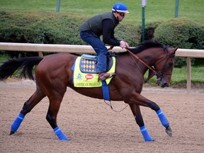 Exercise rider Jorge Alvarez works out Kentucky Derby favourite American Pharoah, trained by Bob Baffert, at Churchill Downs in Louisville, Ky. (Jamie Rhodes/USA TODAY Sports)