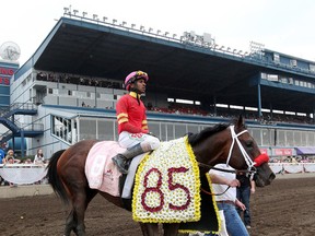 Rico Walcott, shown here after winning the Canadian Derby last August, rode Greg Tracy-trained Knight Crossing in the first race at Northlands Friday to kick off the thoroughbred racing season. (David Bloom, Edmonton Sun)