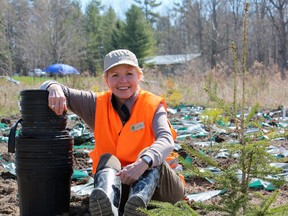 Verna Corlett, volunteer with the Friends of Lemoine Point, and around 100 volunteers, planted 560 trees in Lemoine Point Conservation in Kingston, Ont. on Saturday May 2, 2015. Steph Crosier/Kingston Whig-Standard/Postmedia Network