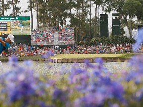 Martin Kaymer of Germany hits his tee shot during the third round of The Players Championship in 2014. (AFP/PHOTO