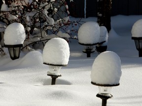 Snow-capped garden lights are seen in Edmonton on Sunday Nov. 17, 2013 after an overnight snowfall. Tom Braid/Edmonton Sun/QMI Agency