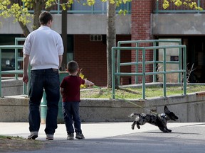 Ottawa Sun reporter Keaton Robbins walks away from a playground with a child in Ottawa yesterday. The Ottawa Sun, with the permission of the parents and in conjunction with Ottawa Police, was seeing if children would walk away with a stranger if they had a puppy. (Tony Caldwell/Ottawa Sun/Postmedia News)