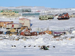 A snowmobiler and dogs are seen on the ice of Frobisher Bay in Iqaluit, Nunavut, February 23, 2012.  REUTERS/Sean Kilpatrick/Pool