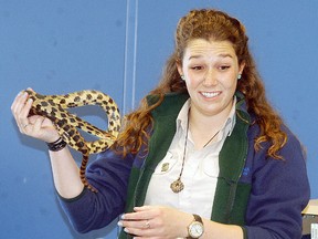 Caitlin Sparks, one of Rondeau Provincial Park's Natural Heritage Educators shows off an Eastern Fox Snake during a presentation at the Wallaceburg Library on May 2.